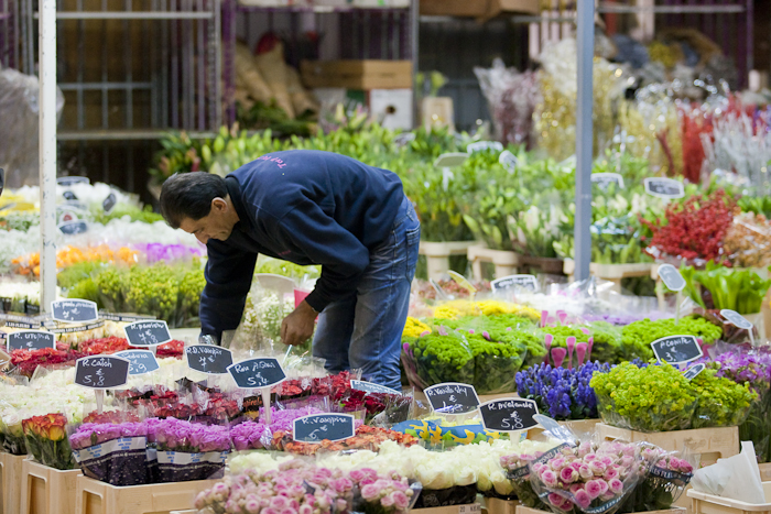 MIN RUNGIS-Fleurs-83.jpg